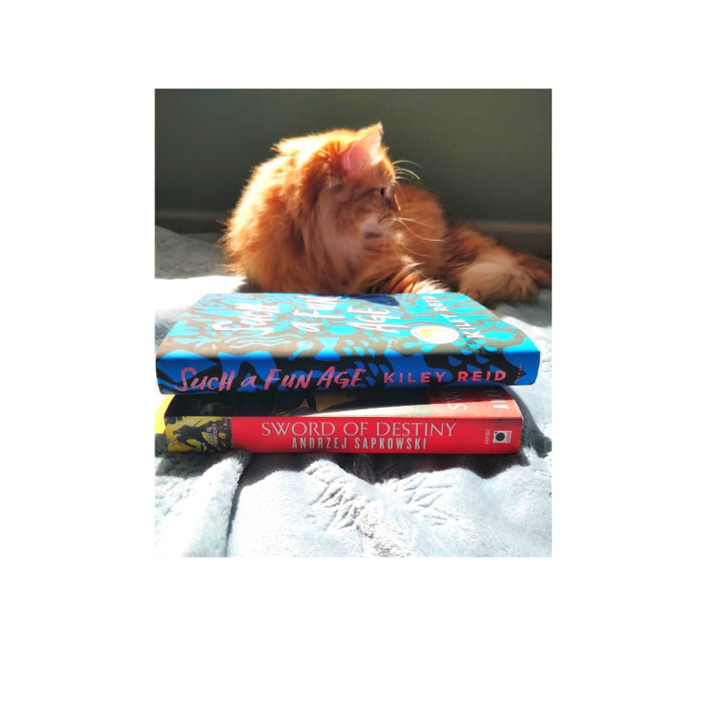 catwithbooks