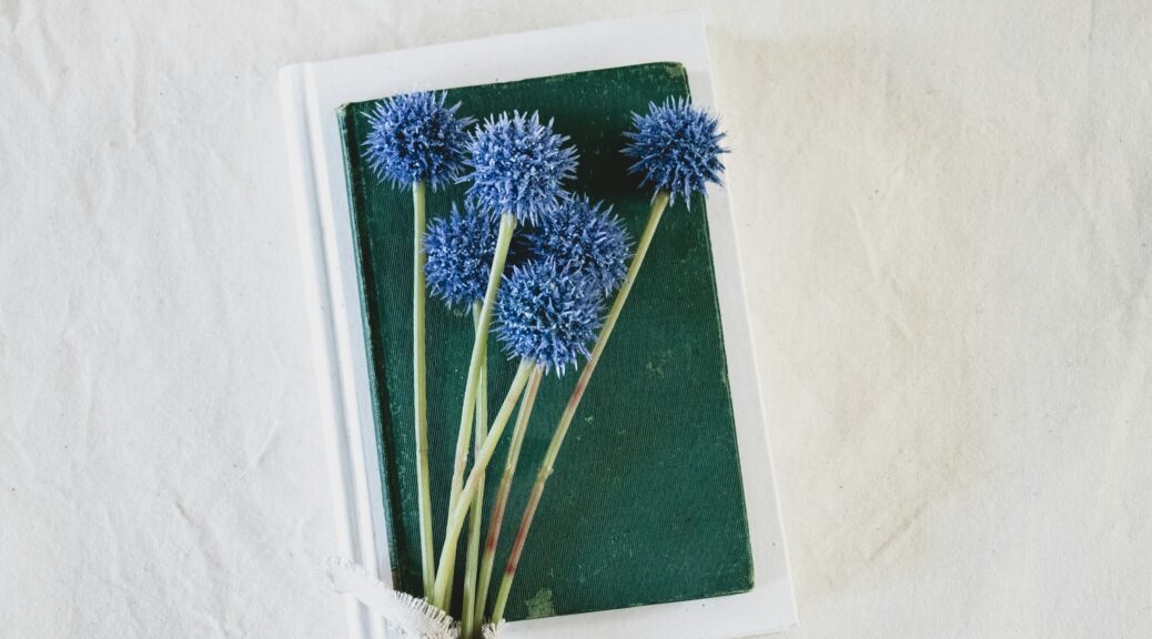 A book on a white background with a flower laying on top.